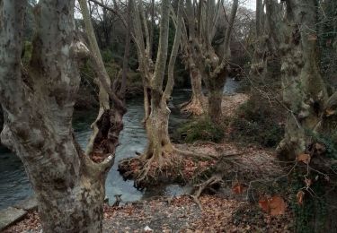 Tour Wandern Saint-Clément-de-Rivière - St Clément Grand Devois Le Lez - Photo
