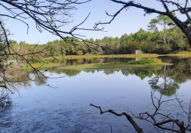 Tour Wandern Seignosse - Belleherbe en boucle depuis le Pénon - Photo