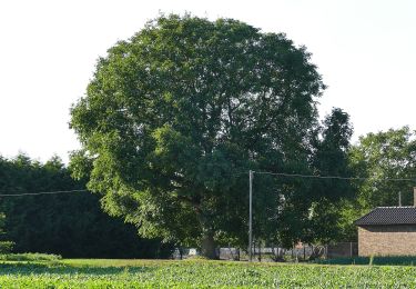 Tocht Te voet Grefrath - Rundweg A6 Harzbecker Bruch - Photo