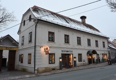 Tour Zu Fuß Bad Waltersdorf - Apfelwanderweg (W4) - Photo