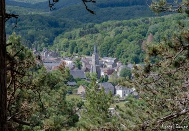 Tocht Stappen Viroinval - Vierves / Olloy (-sur-Viroin) - Photo