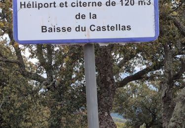 Trail Walking Pierrefeu-du-Var - la Traversier faite le 8 mai 2025 - Photo