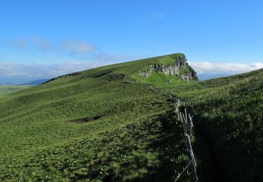 Tocht Stappen Mont-Dore - Tour du Mont Dore - Photo