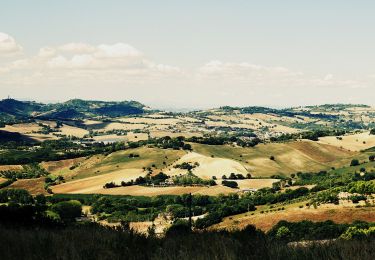 Tocht Te voet Ancona - Anello della Gradina - Photo