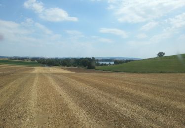 Excursión A pie Seeburg - Seeanger-Rundweg Seeburg - Photo