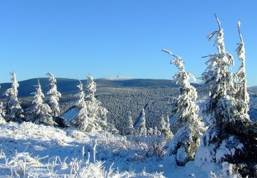 Tour Zu Fuß Wiesenberg - NS S Koprníčkem na výlet Keprnickými horami - Photo