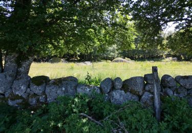 Trail Walking Saint-Laurent-de-Muret - Le truc de Crouzet - Photo