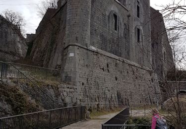 Excursión Senderismo Léaz - Fort l'Ecluse-Leaz - Photo