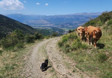 Trail Walking Err - tami de nuria - Photo