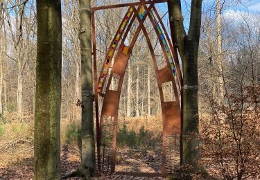 Randonnée Marche Gesves - Bois de Gesves - Photo