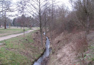 Percorso A piedi Roßdorf - Kotelettpfad - Photo