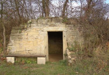 Tocht Te voet Kirchheim am Neckar - Weinterrassen - Photo