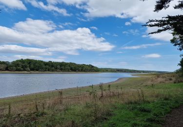 Randonnée Marche Joué-sur-Erdre - Tour du lac de Vioreau - Photo