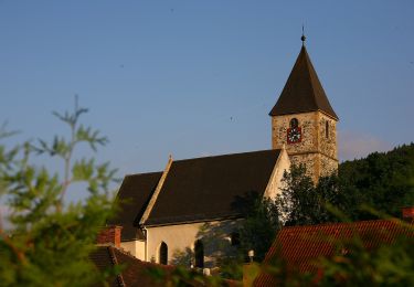 Tour Zu Fuß Gemeinde Payerbach - Payerbach - Steinhöfler - Photo