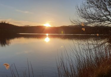 Percorso Marcia Fréjus - Etang de Villepey - Photo