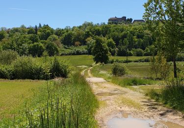 Trail Walking Faycelles - Faycelles StEulalie J1+ - Photo