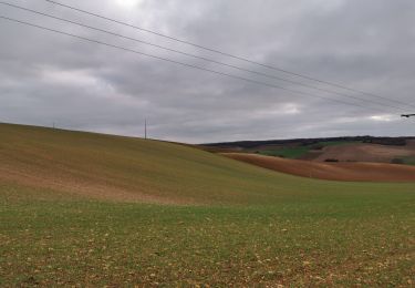 Tour Wandern Prugny - Prugny - Photo