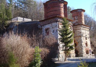 Tour Zu Fuß Stattegg - Wanderweg 20 - Photo