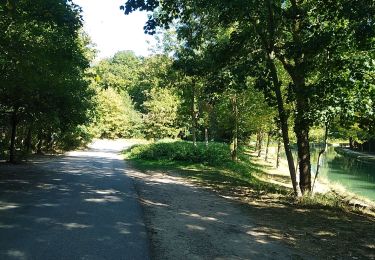 Tour Wandern Claye-Souilly - Claude sept 2019 Catherine - Photo