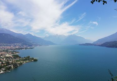 Tocht Te voet Dongo - Dongo-La Corna-Sasso di Musso-San Bernardo - Photo