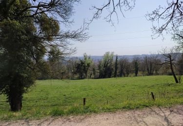 Trail Walking Clichy-sous-Bois - chevaux et dhyus - Photo