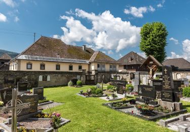 Tour Zu Fuß Glödnitz - Altenmarkt-Weissberg - Photo