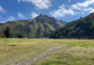 Excursión Senderismo Mont-Dore - Puy de Sancy par les crêtes  - Photo