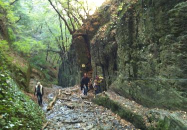 Tour Zu Fuß Lahnstein - Rundwanderweg B2 - Photo