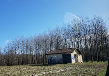 Excursión Coche Monein - atelier3 - Photo