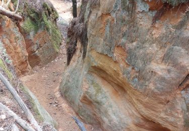 Tour Wandern Mormoiron - Ocres et forêt  - Photo