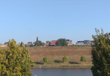 Tocht Stappen Le Rœulx - Promenade Piedescaus Thieu - Photo