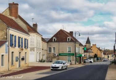 Tocht Stappen Berd'huis - Bellême - Berd'huis 23 km - Photo