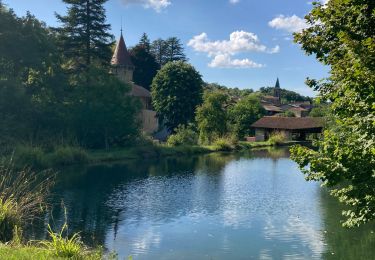 Trail Walking L'Abergement-de-Varey - L'Abergement-de-Varey - Château Les Allymes - Photo