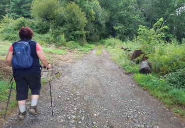 Excursión Senderismo Morlaàs - MORLAAS du LEP au luy - Photo