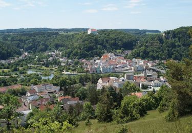 Excursión A pie Riedenburg - Rundweg Riedenburg 17 - Photo