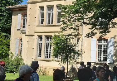 Tour Wandern Saint-Félix-Lauragais - rando fermes - Photo