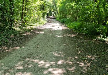 Trail Walking Boutigny-sur-Essonne - Boutigny-sur-Essonne  - Photo