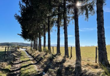 Tocht Stappen Cherier - Les Moulins Chérier : entre Les Faux et Montloup - Photo