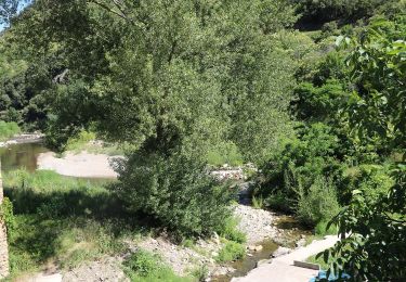 Tour Zu Fuß Saint-Saturnin - Les Cirques de longevette et des Cotes - Photo