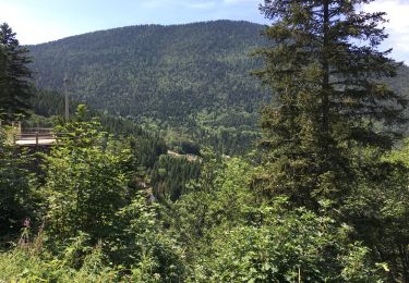 Tocht Stappen Villard-de-Lans - La brèche de Chalimont par Valchevrière - Photo