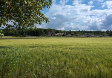 Tocht Stappen Chinon -  Parilly - Zig zag Ligré - 24.4km 330m 5h30 (50mn) - 2024 05 24 - Photo