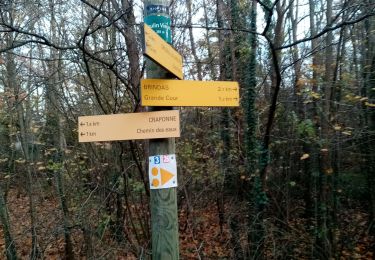 Tour Wandern Vaugneray - stade Vaugneray, voie verte, vieux moulin - Photo