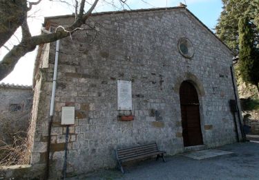 Tour Zu Fuß Pienza - Anello della Foce - Photo