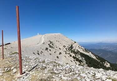 Trail Walking Beaumont-du-Ventoux - ventoux par ancien gr9 et hr4 - Photo