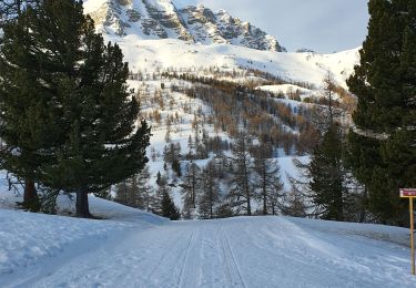 Randonnée Raquettes à neige Vars - Fontbonne Peynier  - Photo