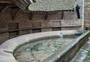 Trail Walking Givry - givry  - Photo