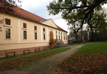 Randonnée A pied Štěkeň - Klostermannova naučná stezka - Photo