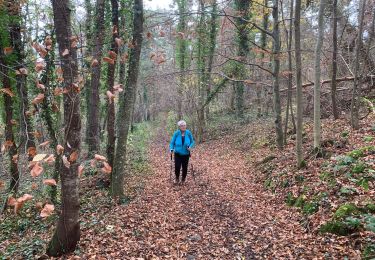 Excursión Senderismo Polignac - Circuit Chanceaux Rachat Ceyssaguet Chanceaux par le plateau et les gorges delà Loire  - Photo