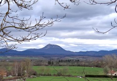Trail Walking Bromont-Lamothe - Bromont_Puy_Neuffont - Photo
