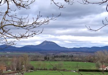 Randonnée Marche Bromont-Lamothe - Bromont_Puy_Neuffont - Photo